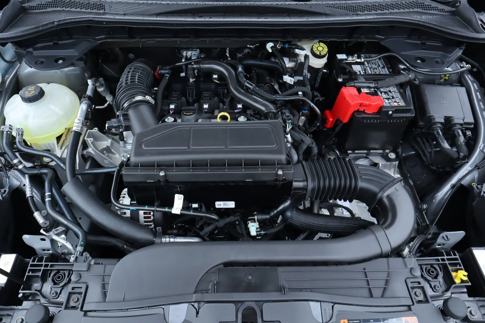 image-19