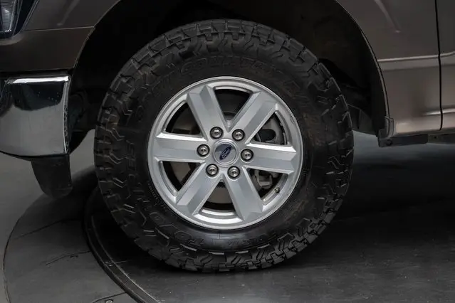 image-7