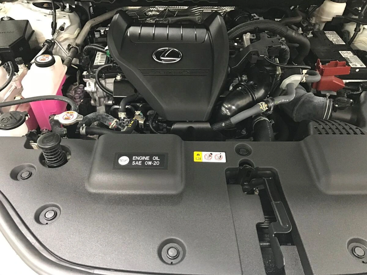 2024 Lexus NX 350 - Photo 12