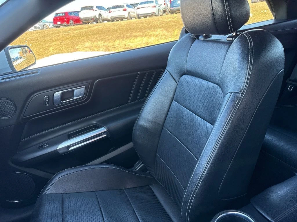 Photo 38