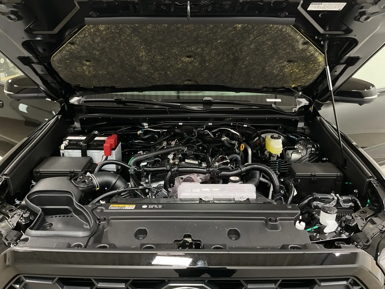 image-19