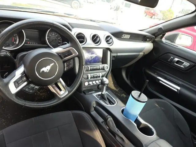 image-5