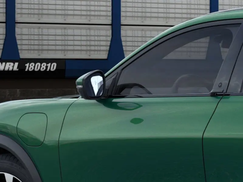 image-19