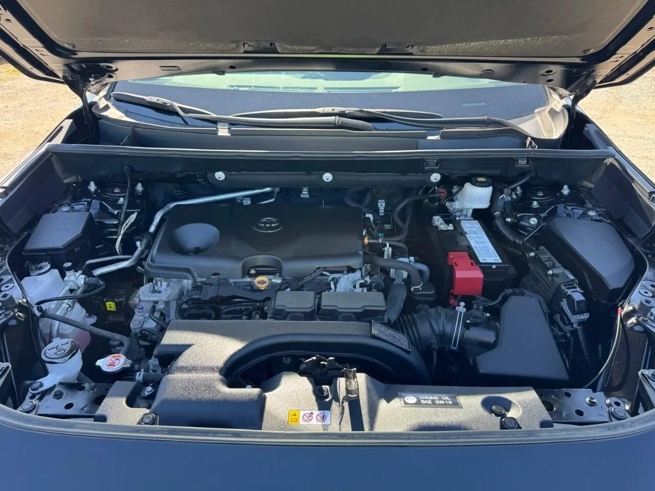 image-19