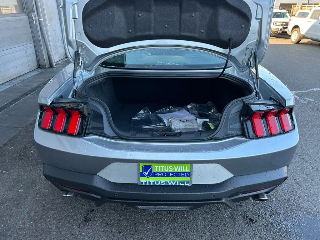 2025 Ford Mustang EcoBoost Premium photo 23