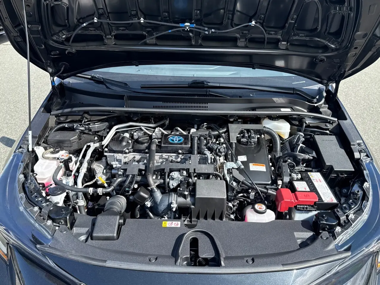 image-16
