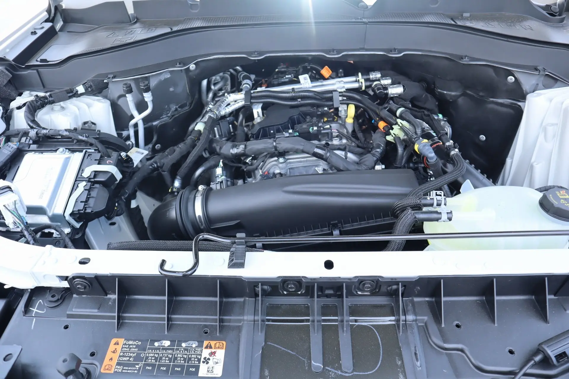 image-19