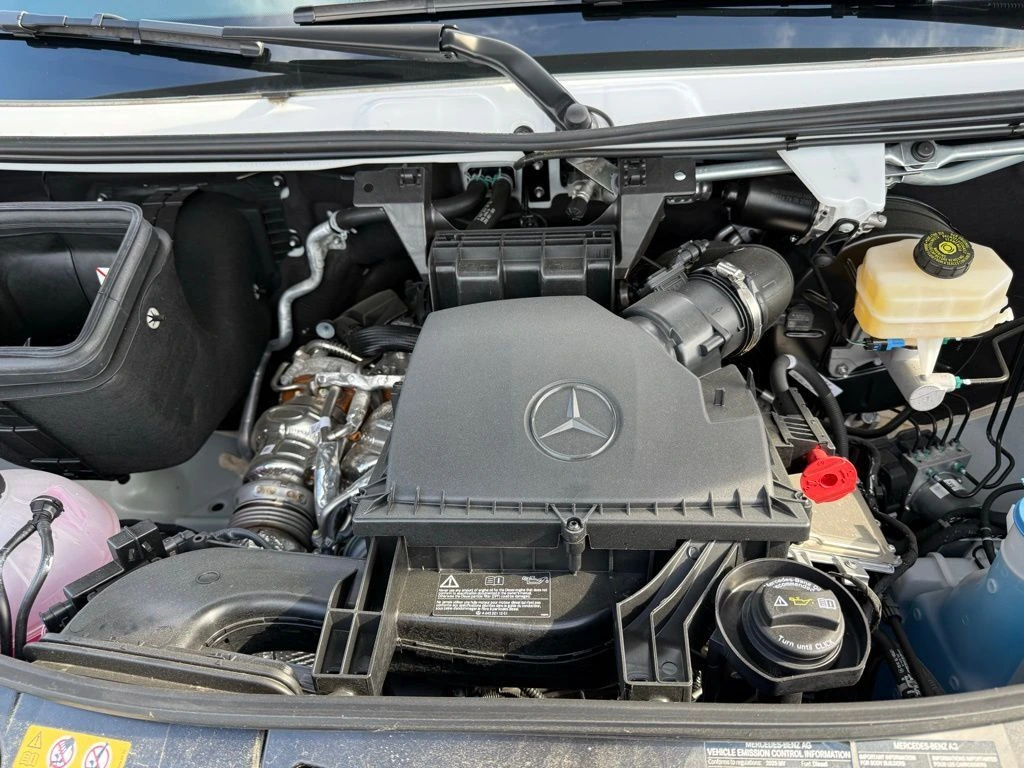 image-19