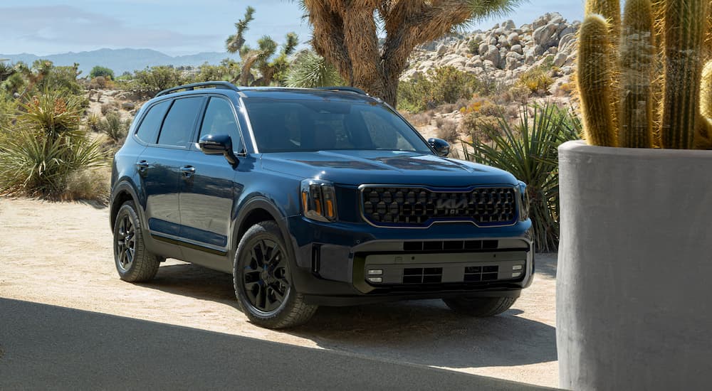 Blue 2025 Kia Telluride parked off-road