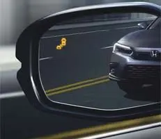 Blind Spot Information
