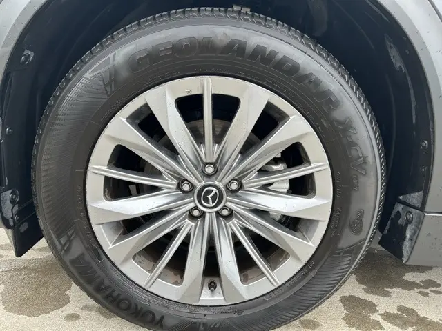 image-9