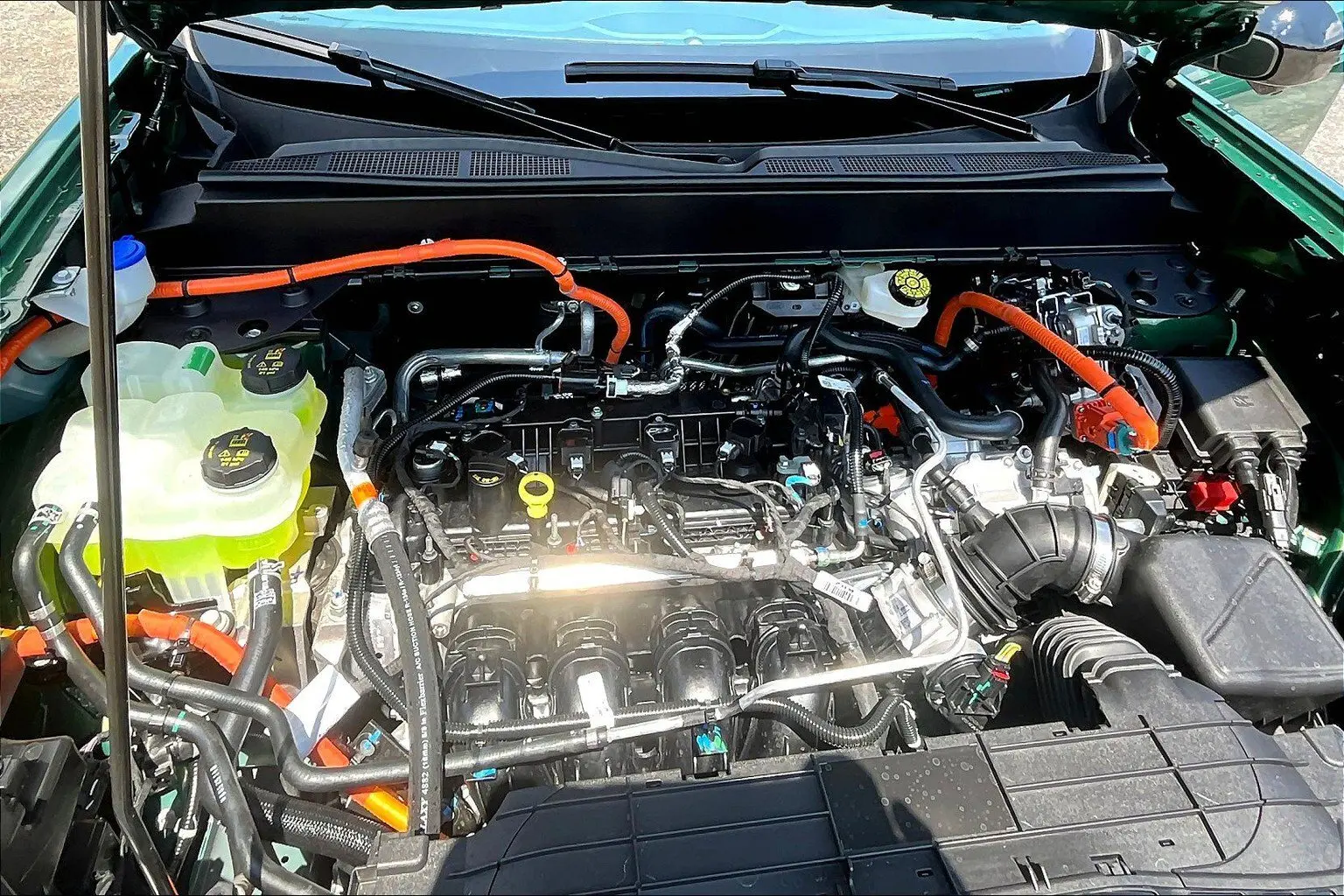 image-10