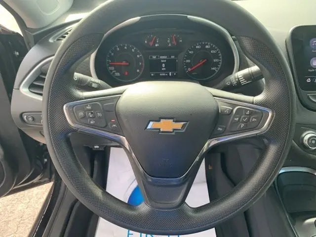 image-19