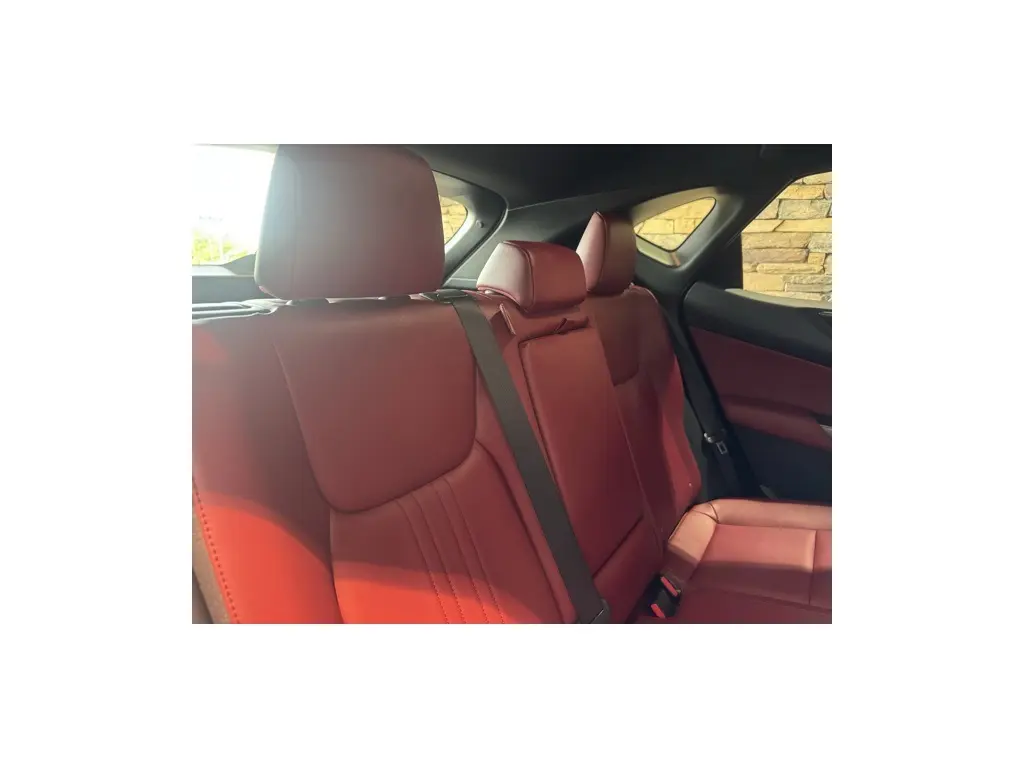 image-15