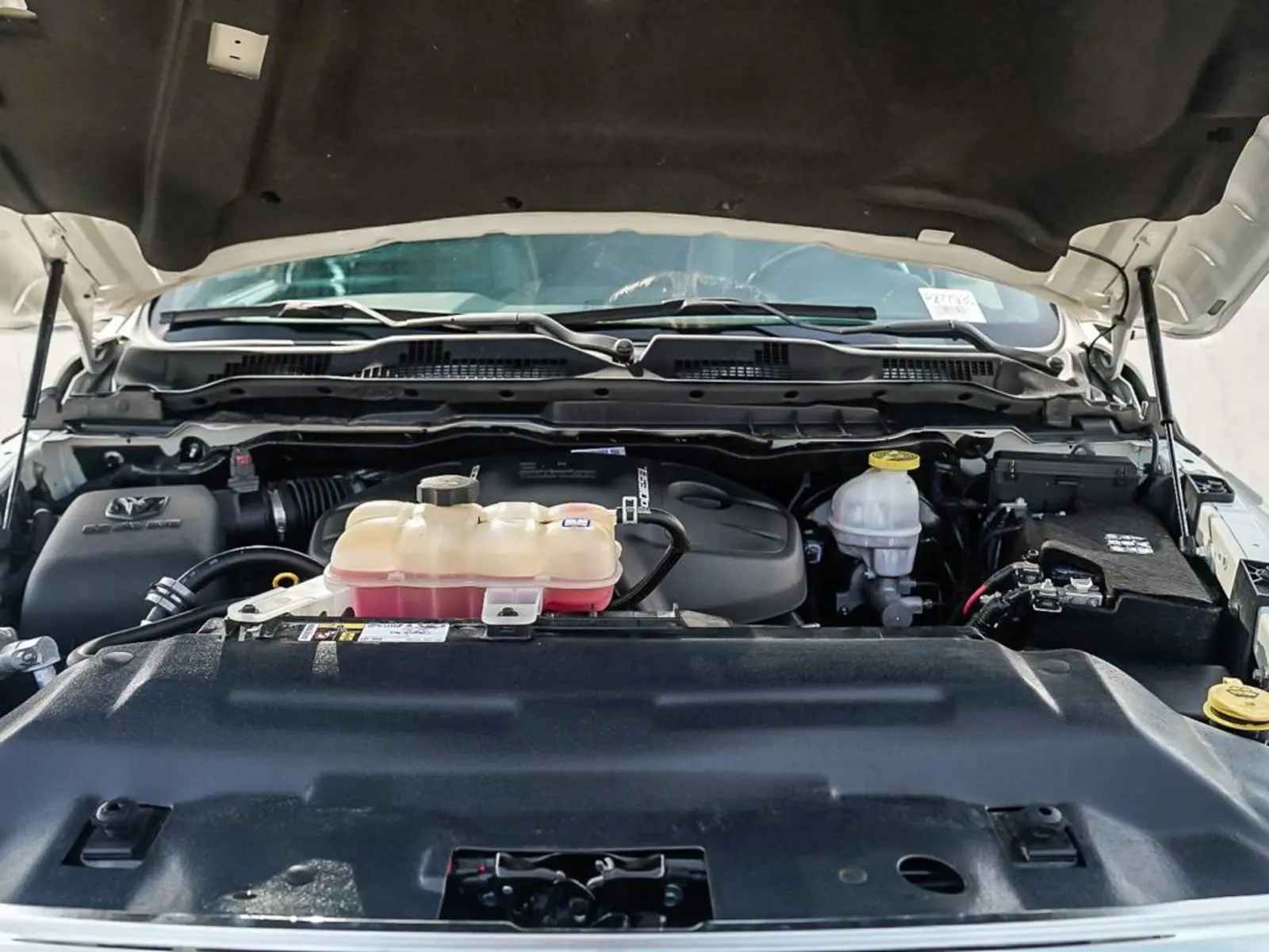 image-7