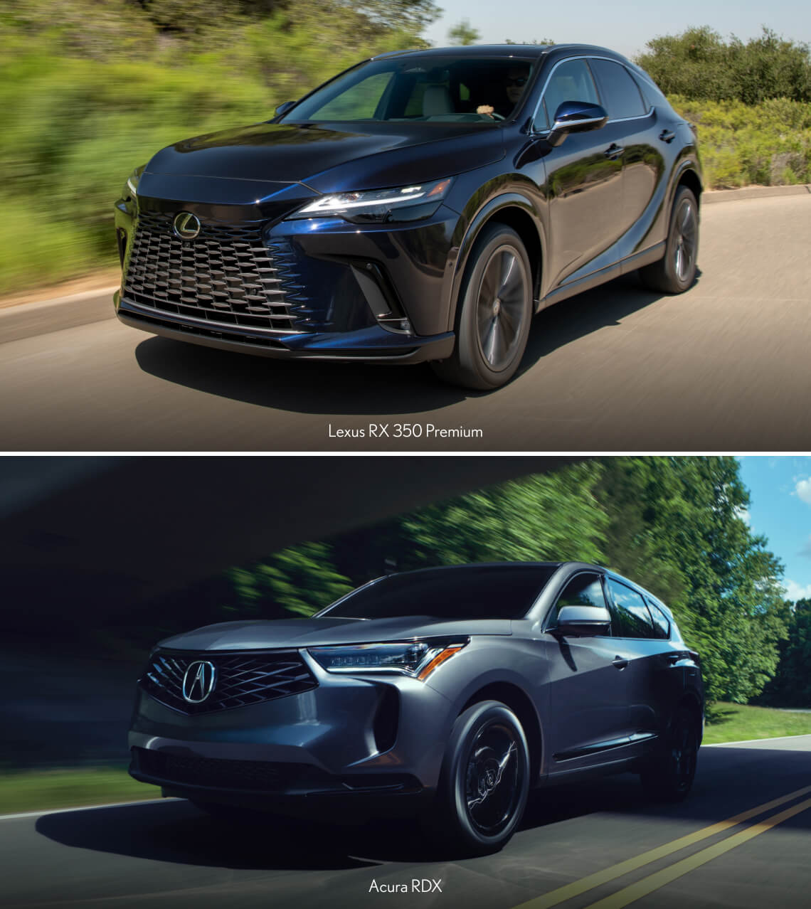 2025 Acura RDX vs. Lexus RX Spec Highlights