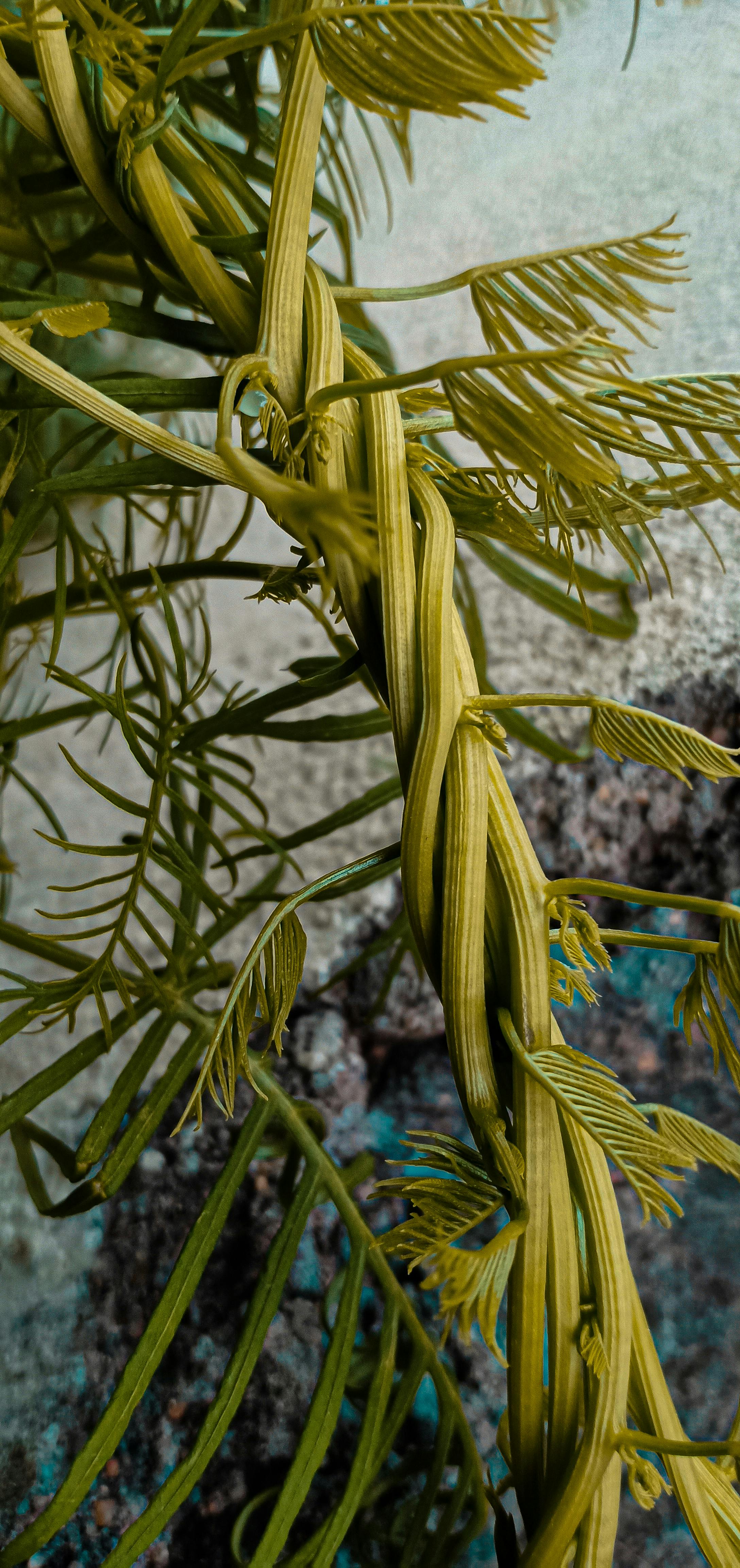 Chevrolet Trax cargo and interior space