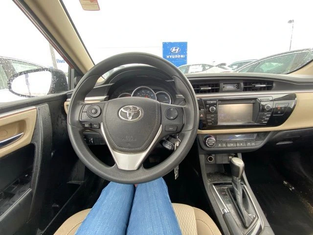 image-11