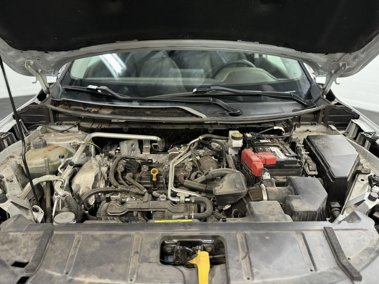 image-7