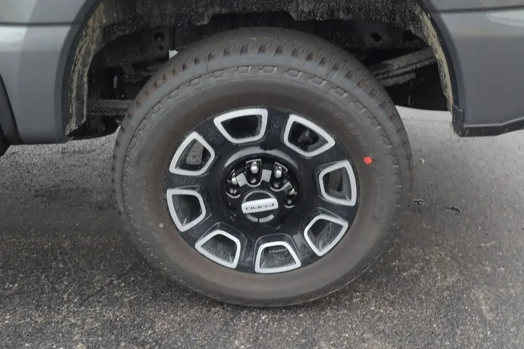 image-19