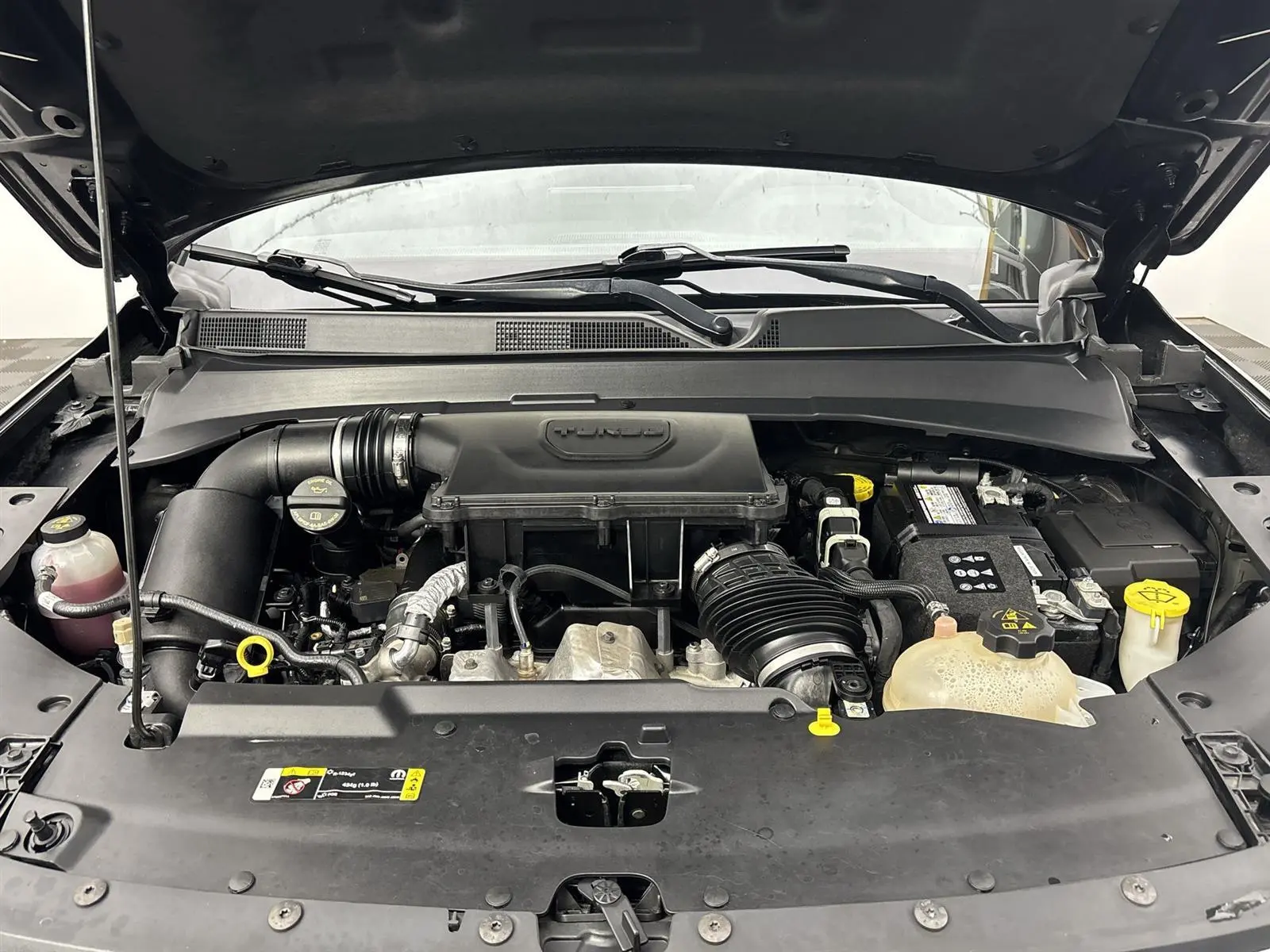 image-19