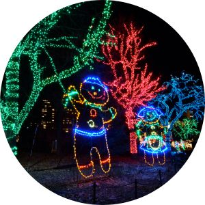 Colorful Christmas Light Displays in a Park