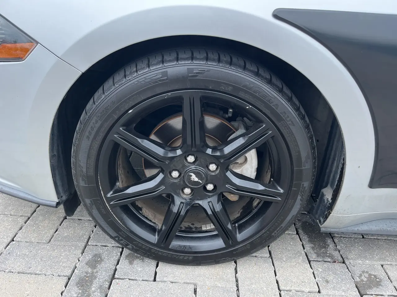 image-7