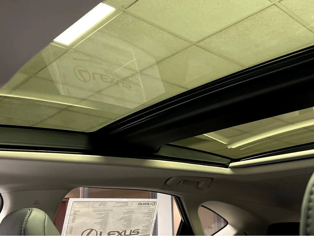 2026 Lexus NX 350 Luxury - Photo 10