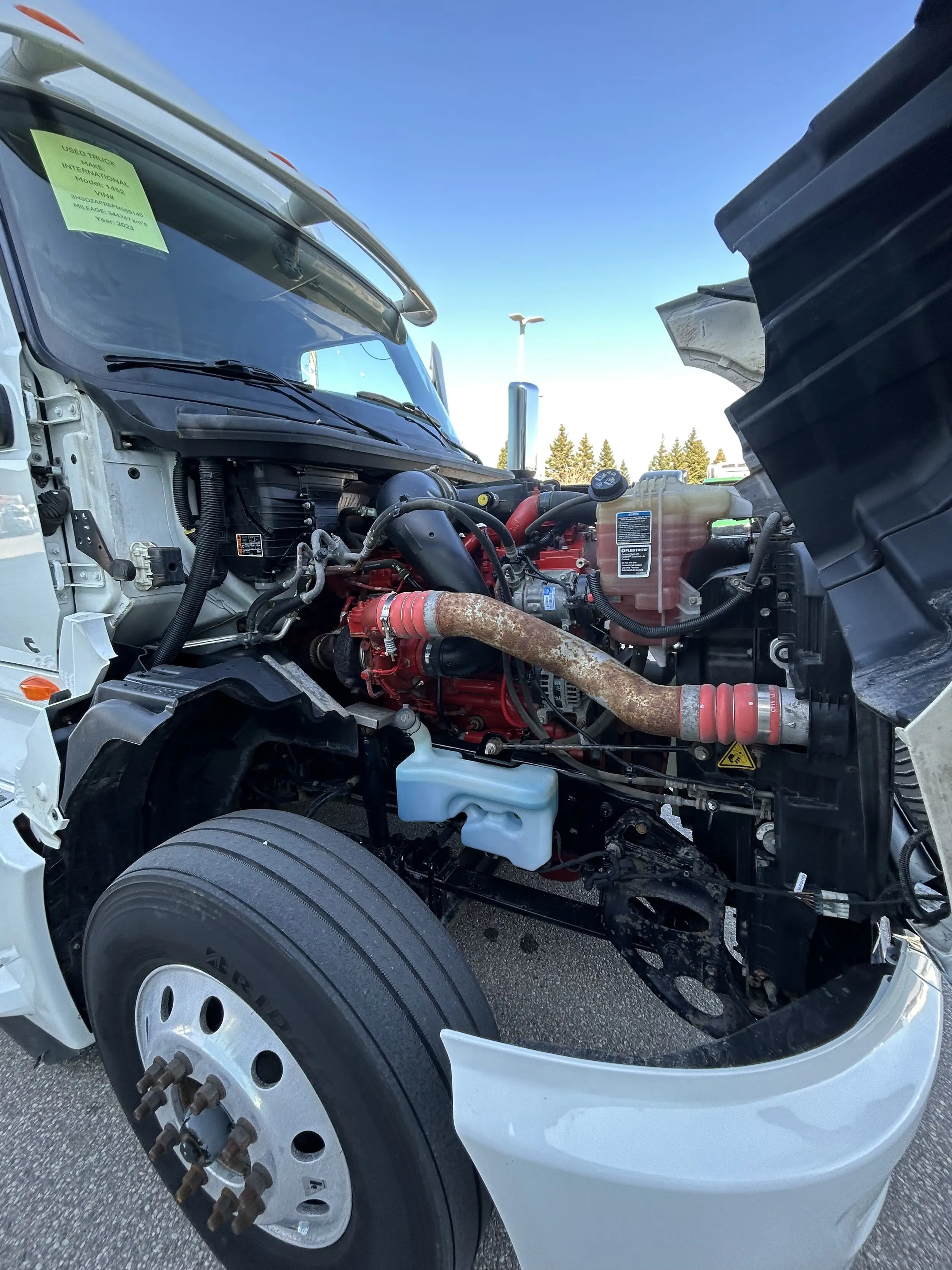 image-12