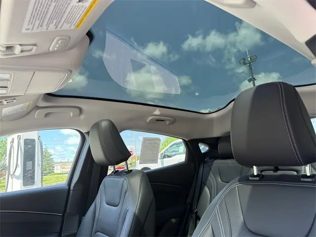 image-15