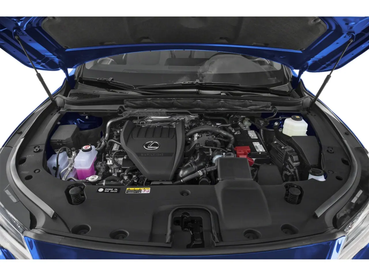 image-16