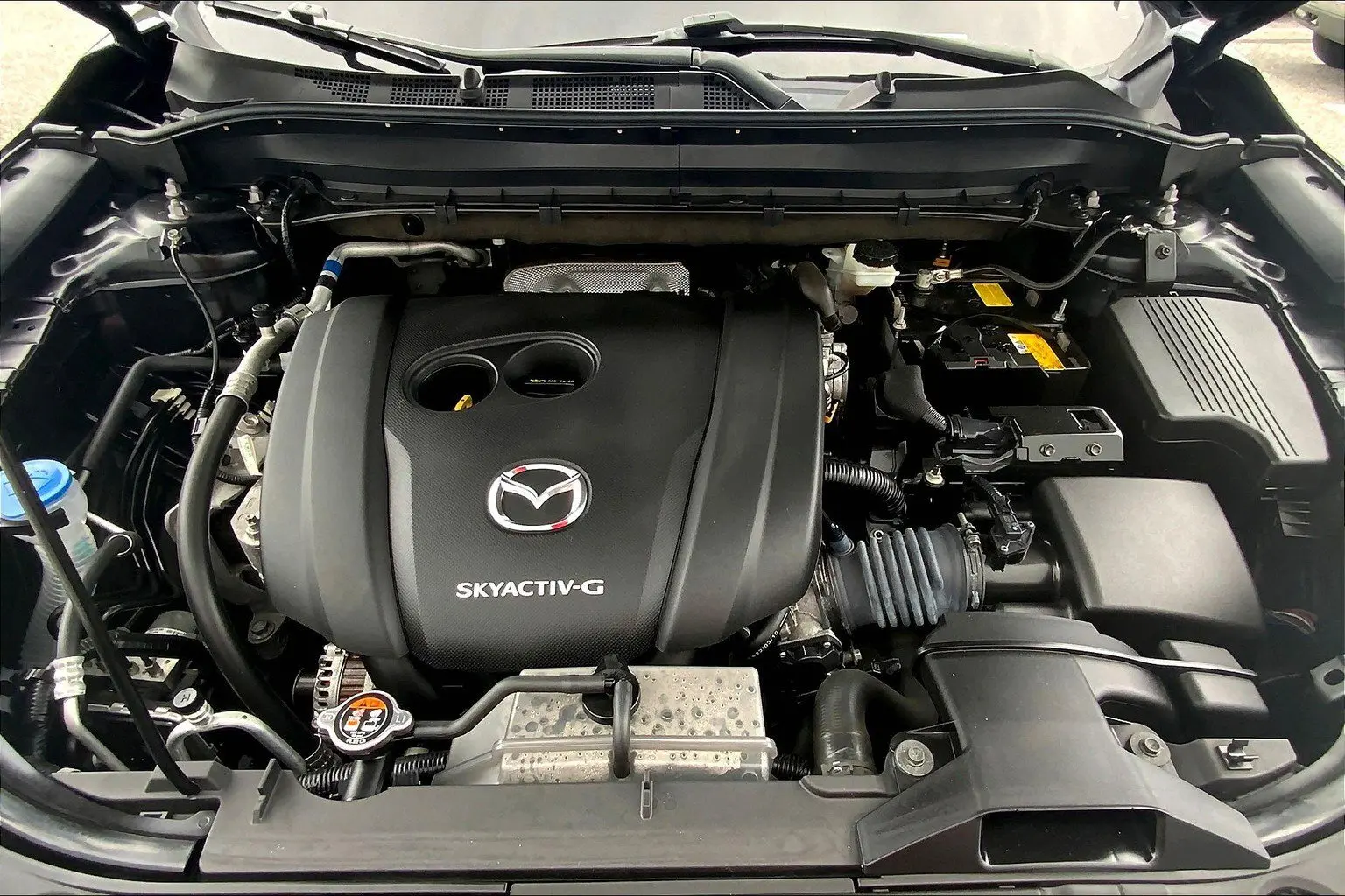 image-12