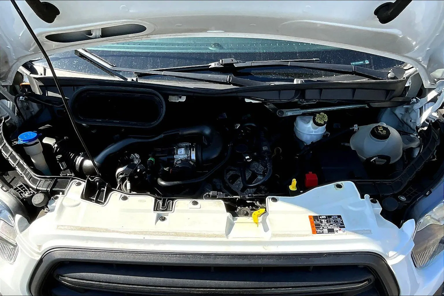 image-9