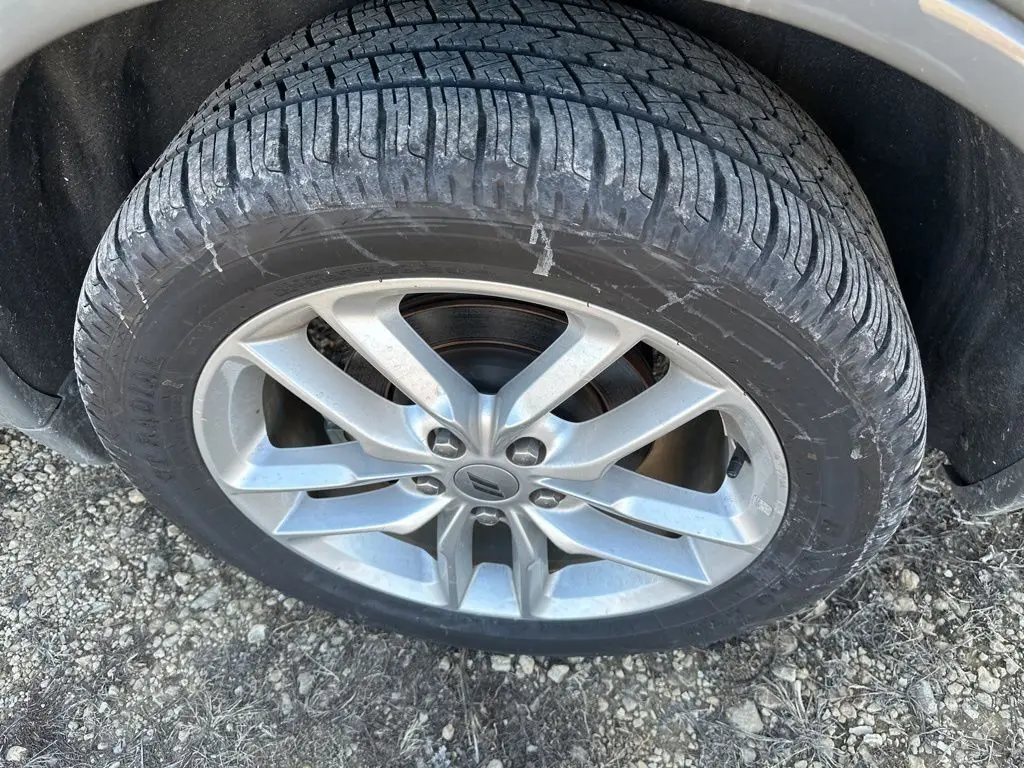 image-7