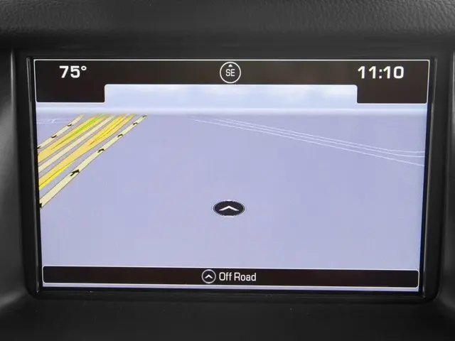 image-19