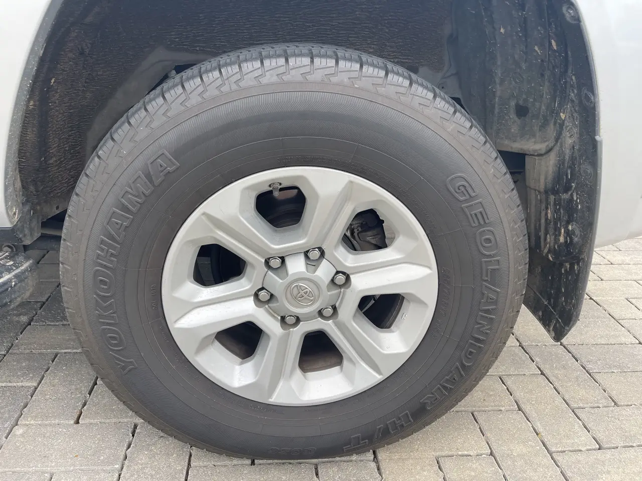 image-7