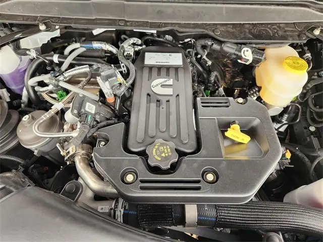 image-19