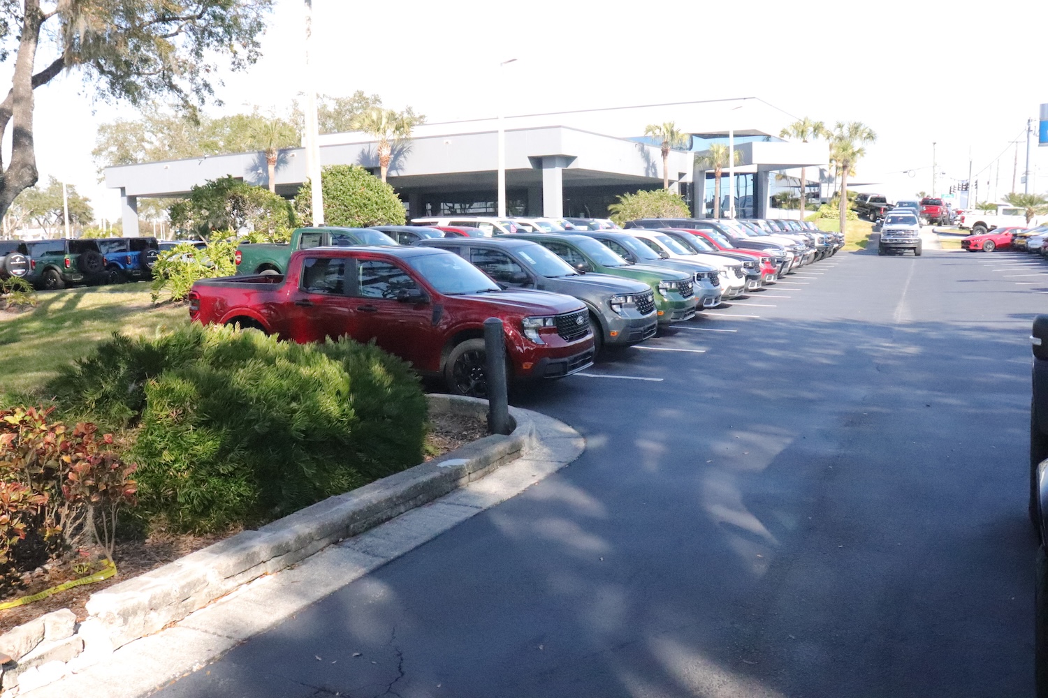 Row of Ford Mavericks at Brandon Ford