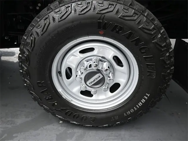 image-19