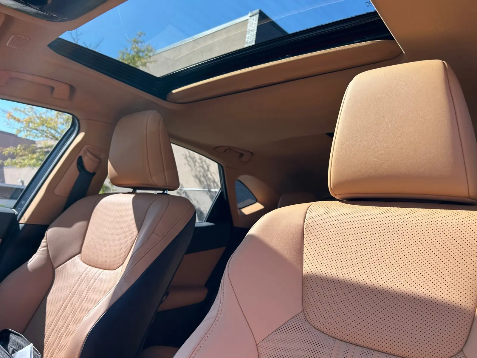 2025 Lexus NX 350h Premium AWD photo 21