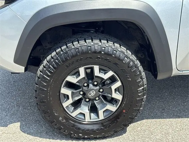 image-19