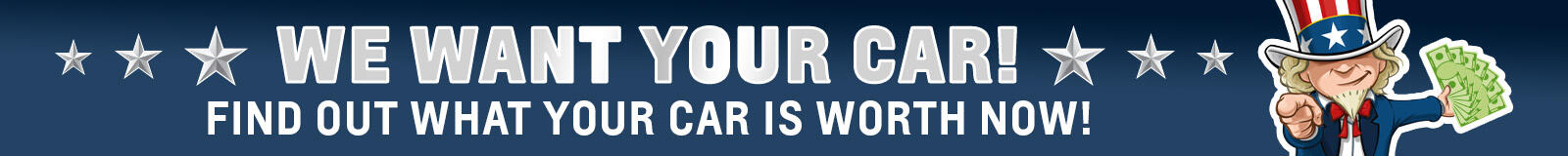 banner-image