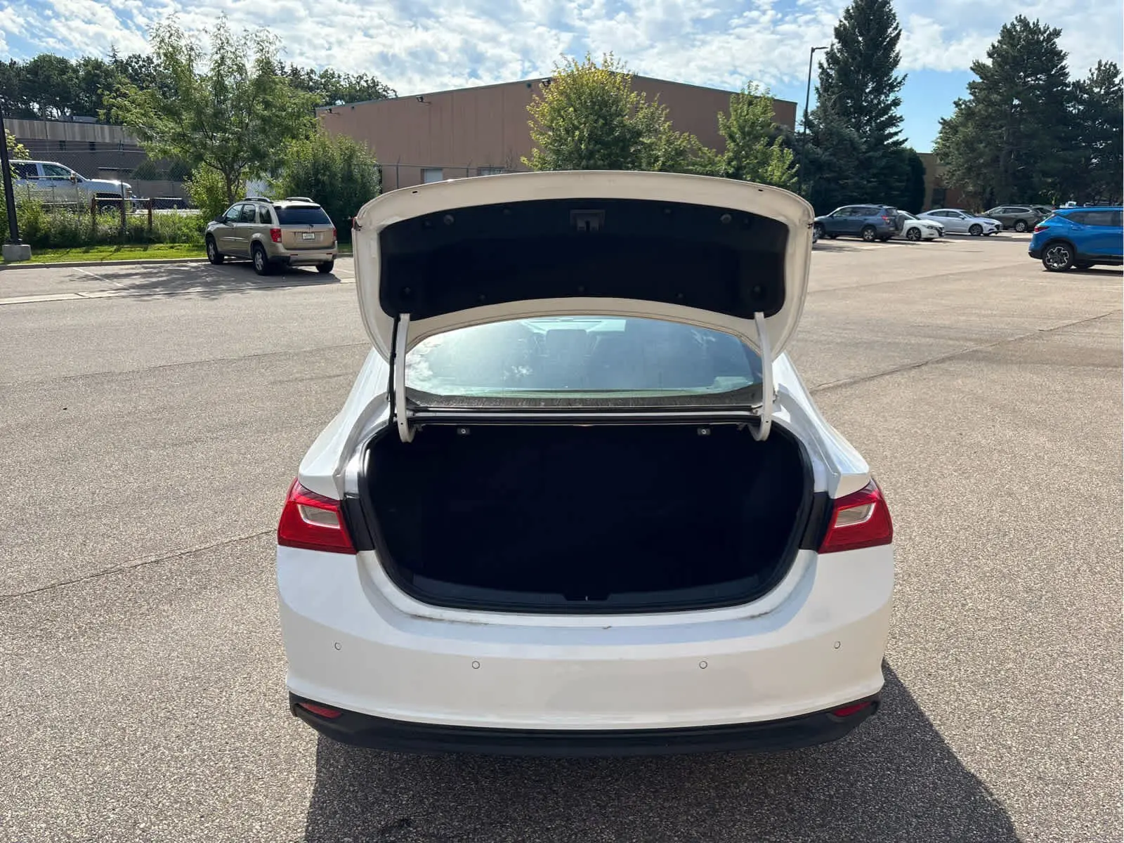 image-6