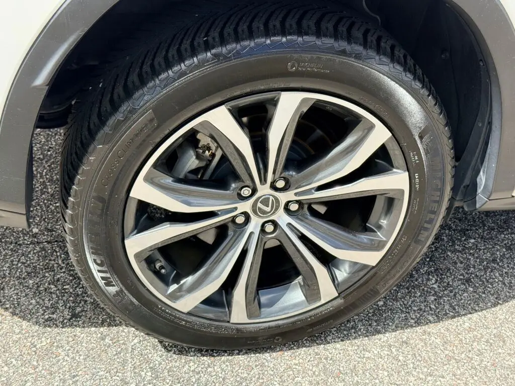 image-11