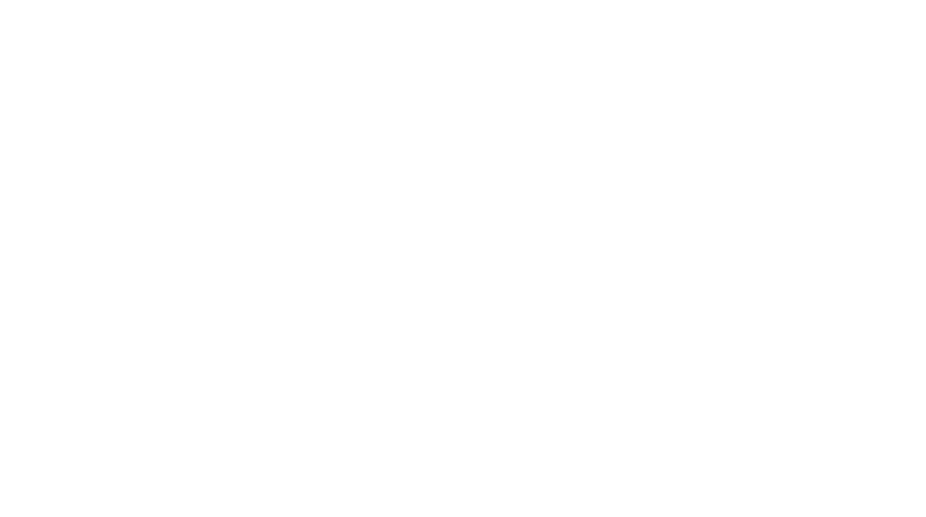 Dealer Logo Primary