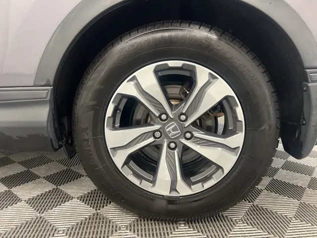 image-11