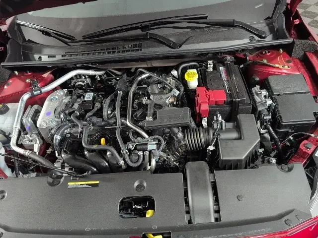 image-2