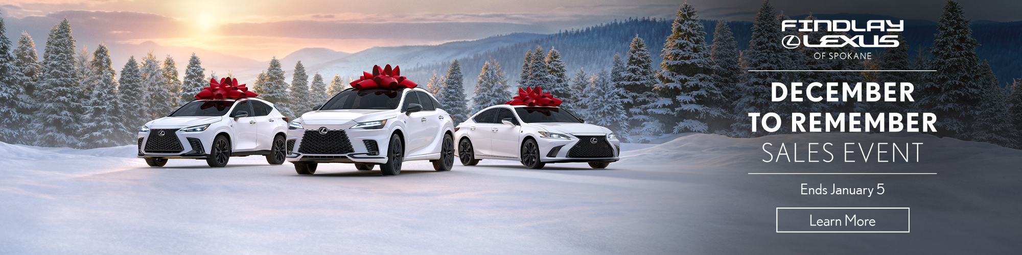 LEXUS DECEMBER TO REMEMBER