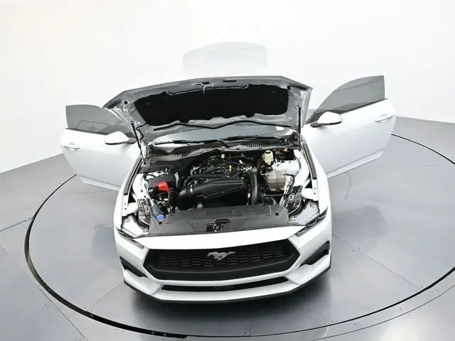 image-43
