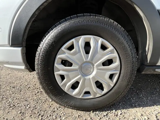 image-7